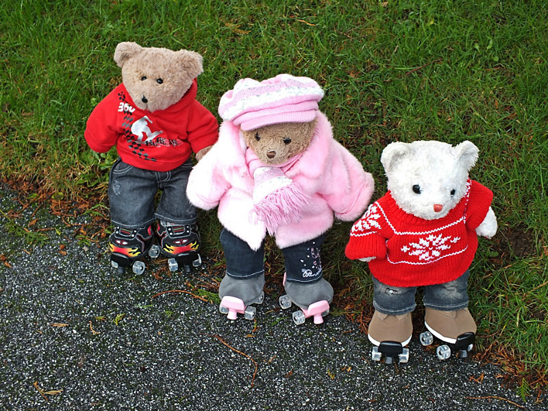 LT Natural Skater - Skating Bears