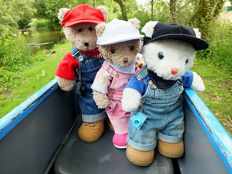 Nature Pond - Cornwall VIBs Visit Lappa Valley Railway