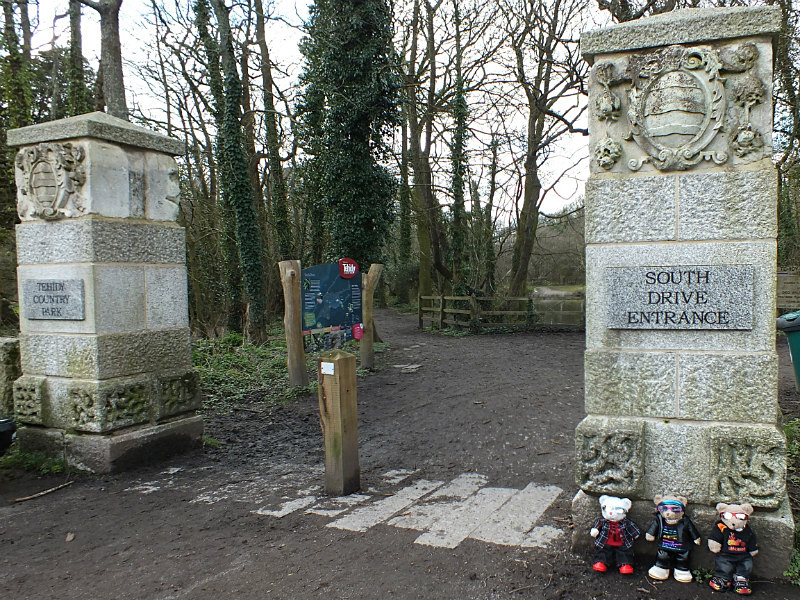 Country Park - Quading Bears