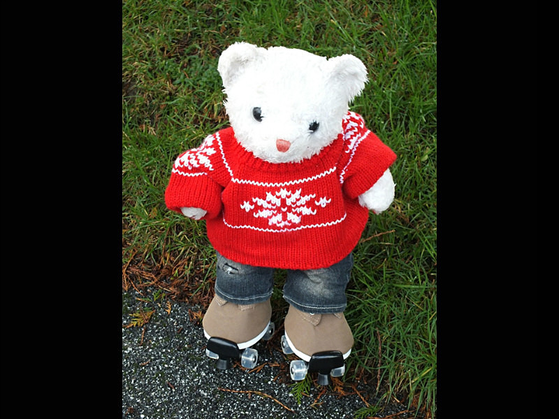 Mr LT James - Skating Bears