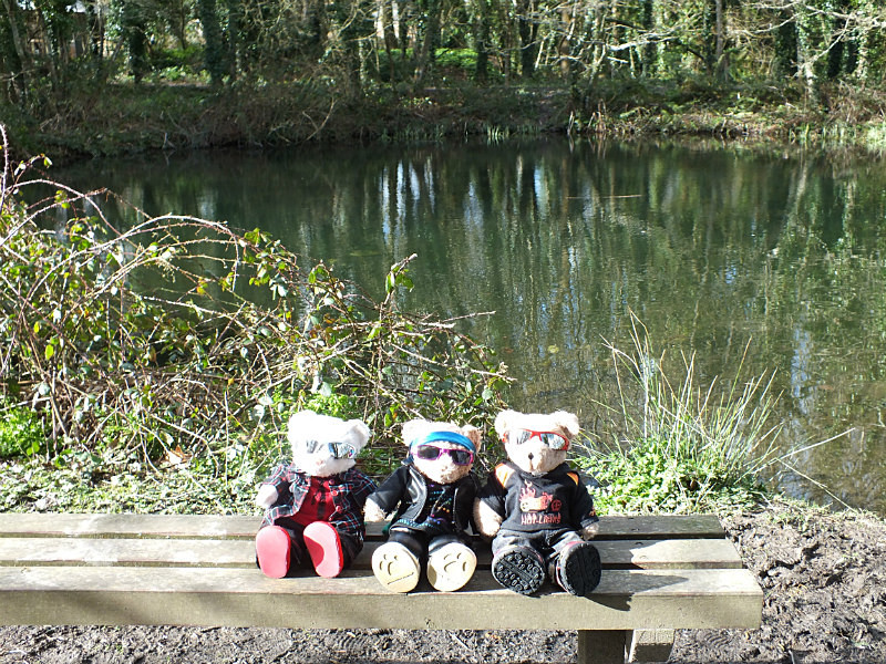 Lovely - Quading Bears