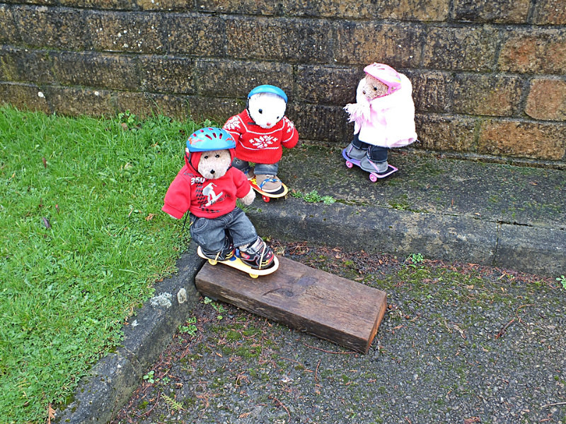 Be Brave Lu - Skating Bears