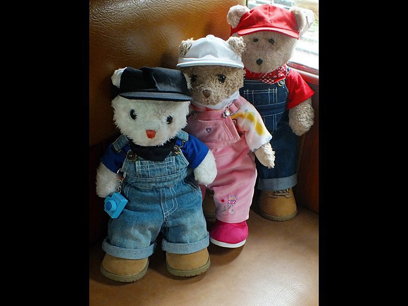1st Class Passengers - Cornwall VIBs Visit Lappa Valley Railway
