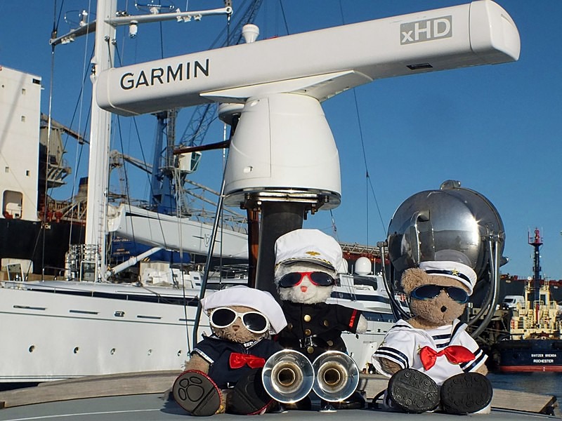  - Ahoy VIBs On Pirate