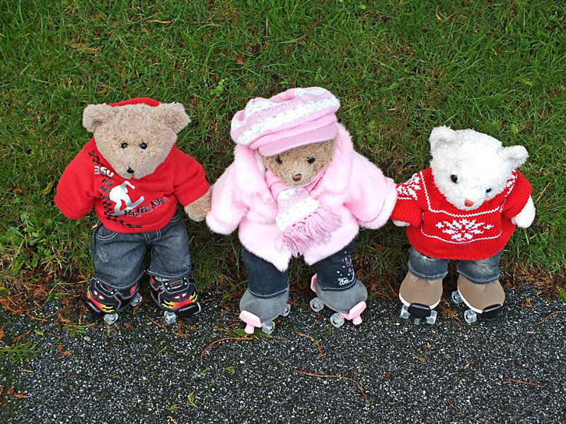 Roller Skating Bears - Skating Bears