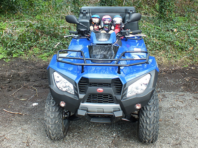 Crowds - Quading Bears