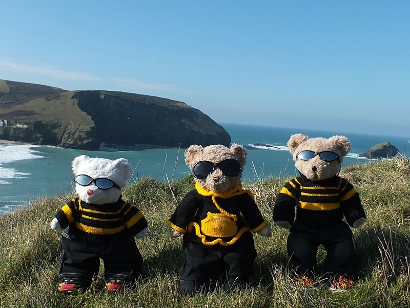 Different Designs - Kernow Bears Gear