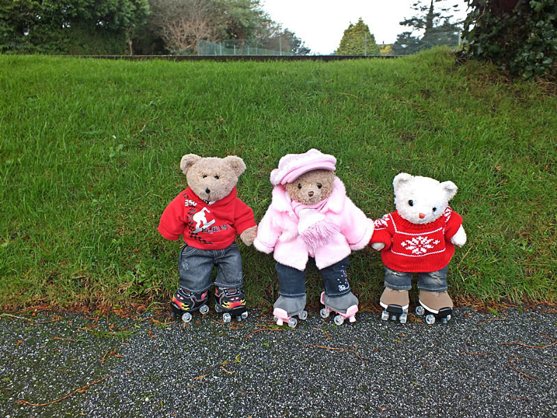 Roller Skate Testing - Skating Bears