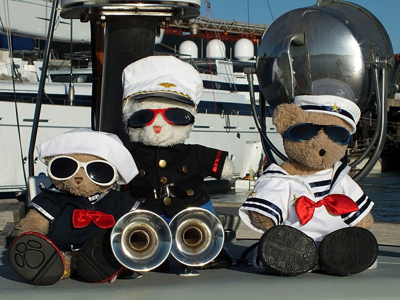  - Ahoy VIBs On Pirate
