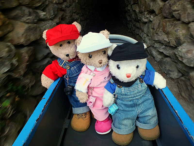 Tunnels - Cornwall VIBs Visit Lappa Valley Railway