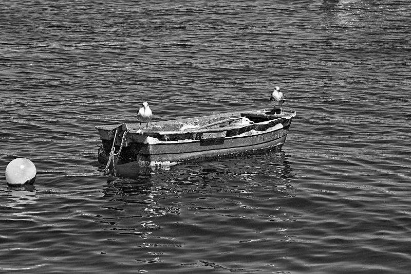 Cast Adrift - Black and White