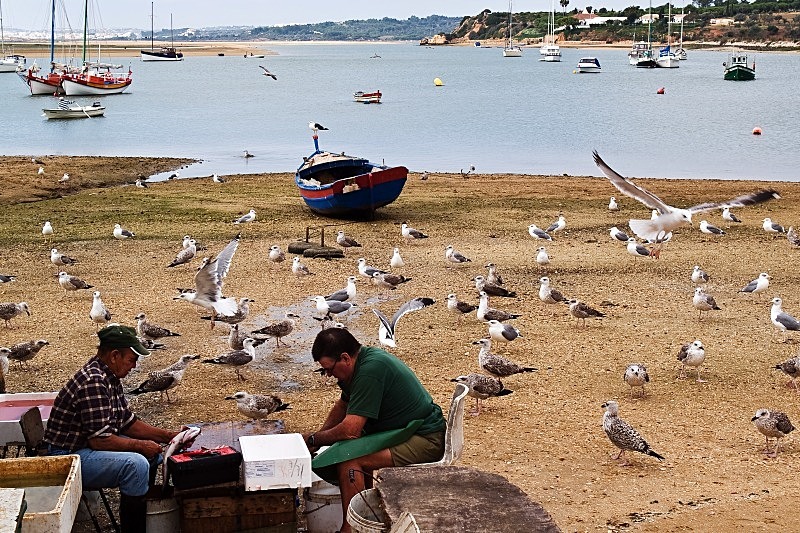 Gutting the Catch - Boats
