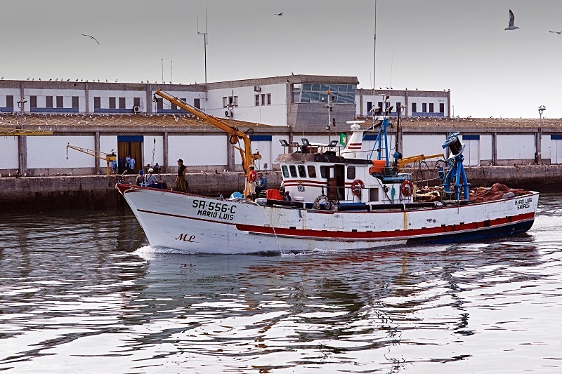 Home with the Fish - Boats