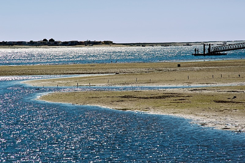 Ria Formosa - Miscellany