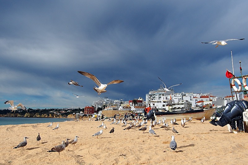 Armação de Pêra beach - Beaches