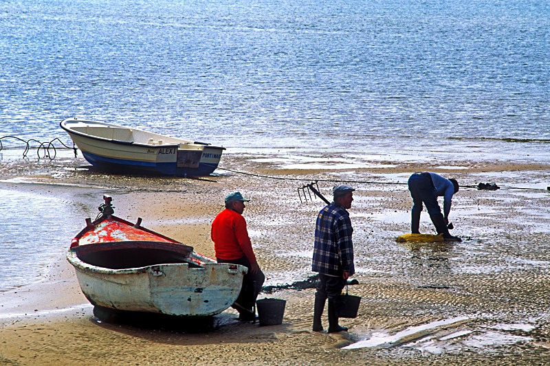Digging for Clams - Boats
