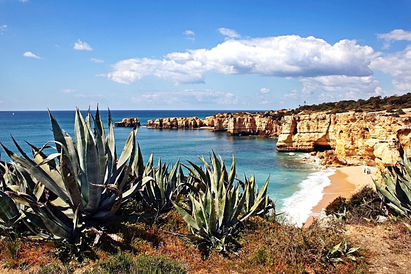 Praia da Coelha - Beaches
