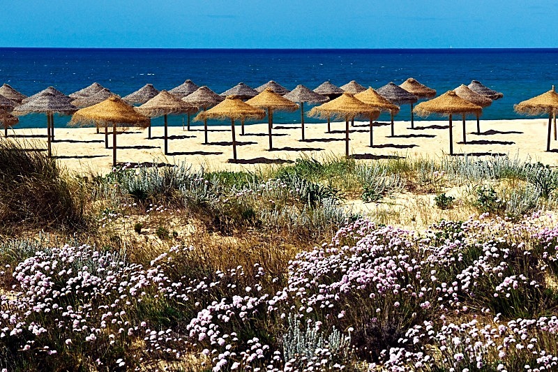 Tomato Beach - Vilamoura - Beaches