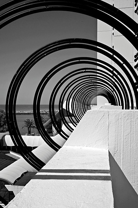 Concentric Circles - Black and White