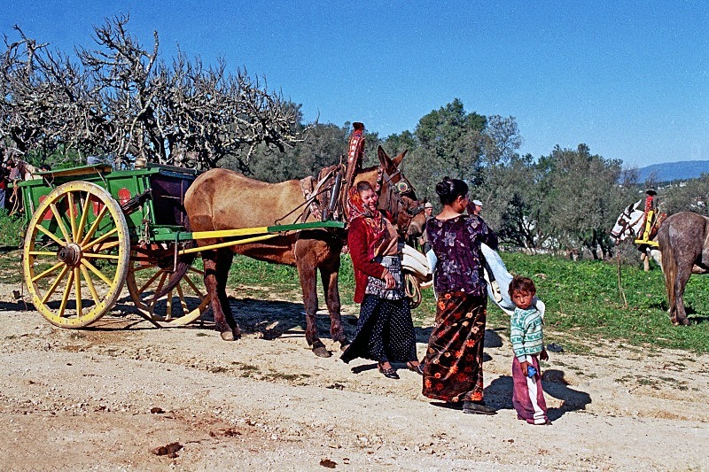 Gypsy Family - Flora & Fauna
