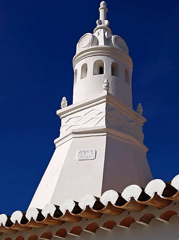 Ancient Chimney - Flora & Fauna