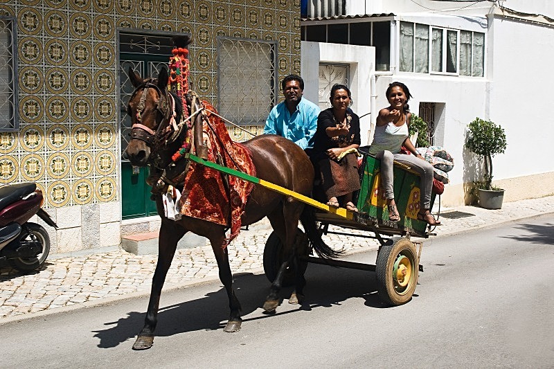 Gypsy Transport - Urban and Ancient