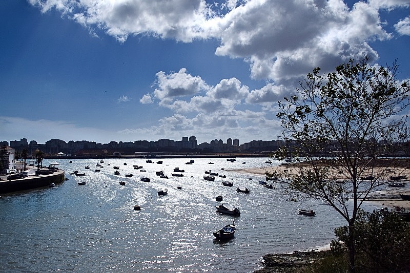 Ferragudo Harbour - Boats