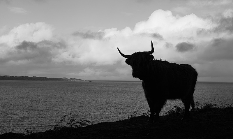  - Scotland