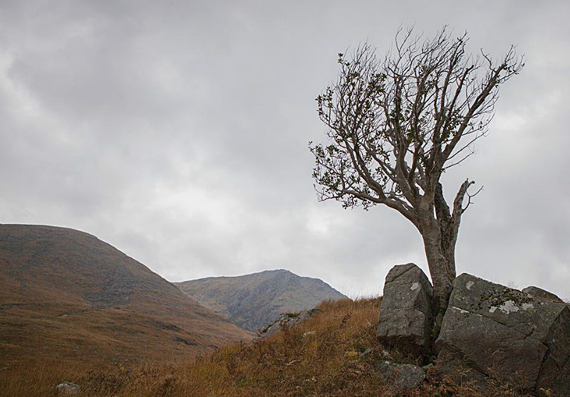  - Scotland
