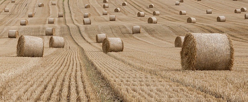  - North Yorkshire