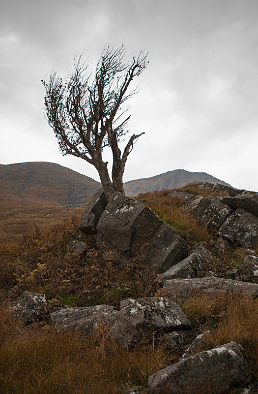  - Scotland