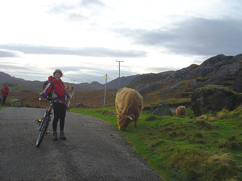  - Cycling