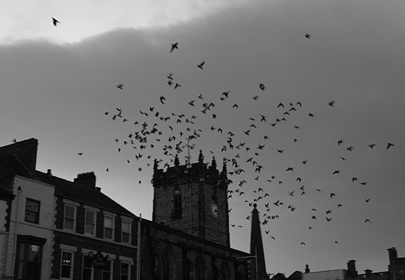  - A2 Photography Student work, Josie