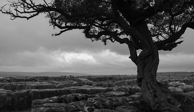  - North Yorkshire