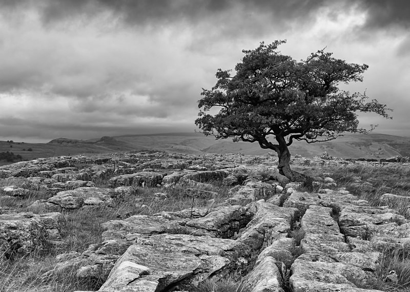  - North Yorkshire
