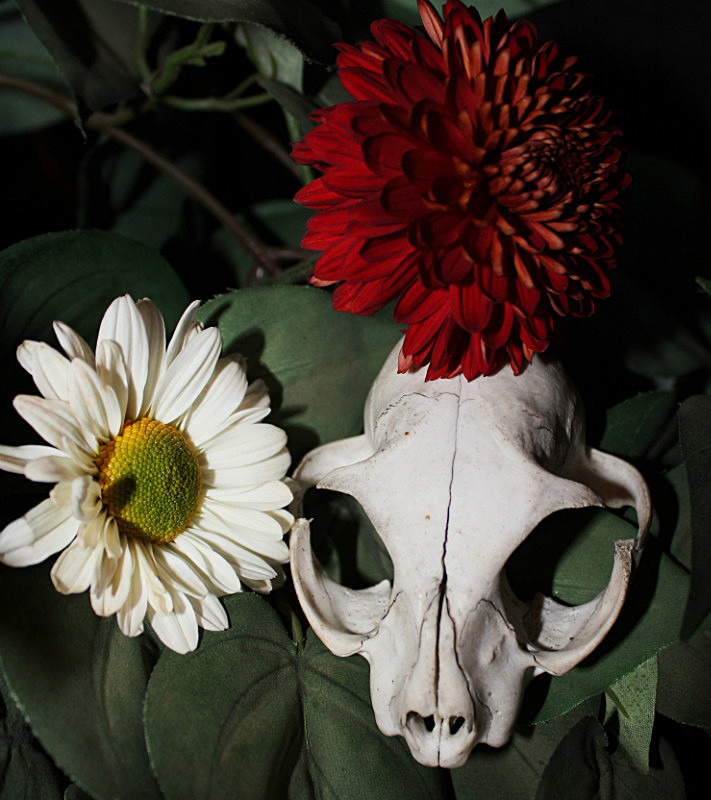  - A2 Photography Student work, Josie