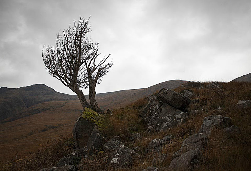  - Scotland
