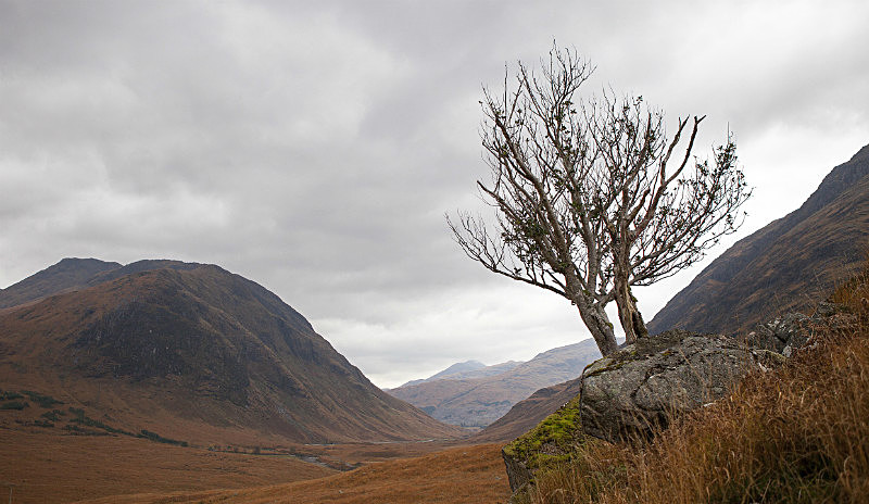  - Scotland