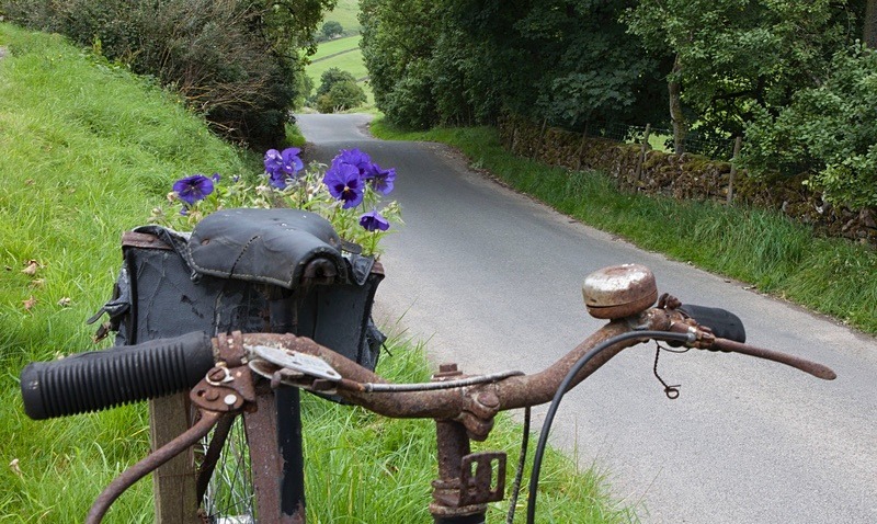  - North Yorkshire