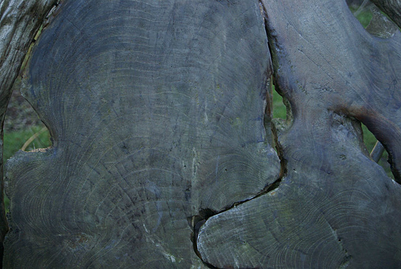  - Textures and Surfaces