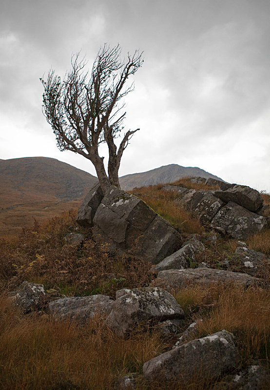  - Scotland