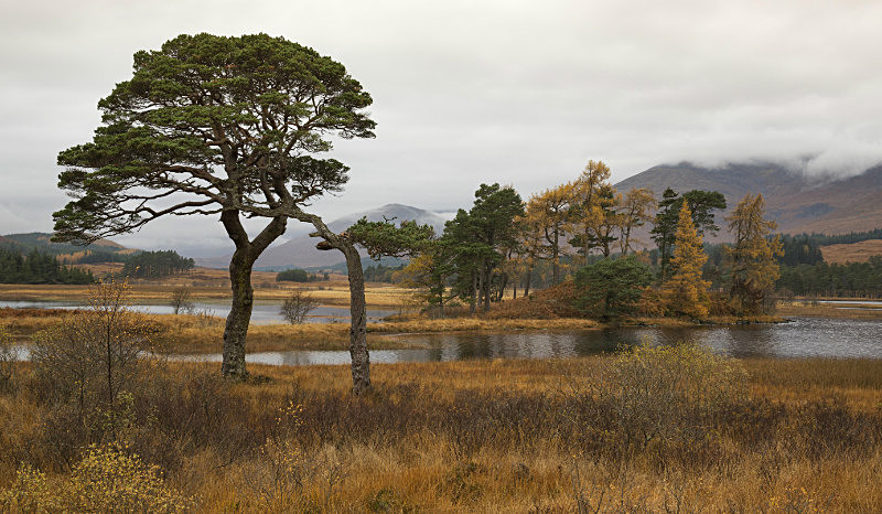  - Scotland