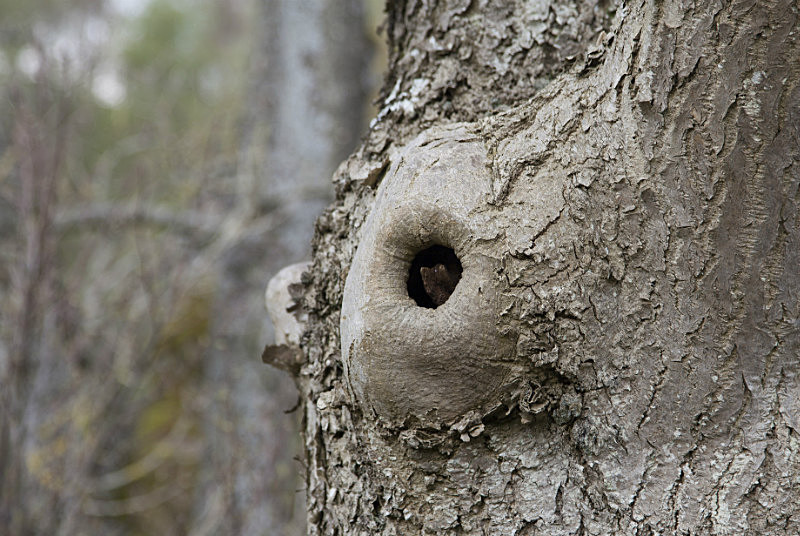  - Textures and Surfaces