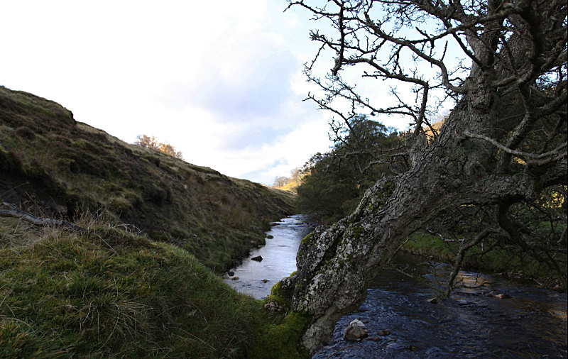  - North Yorkshire