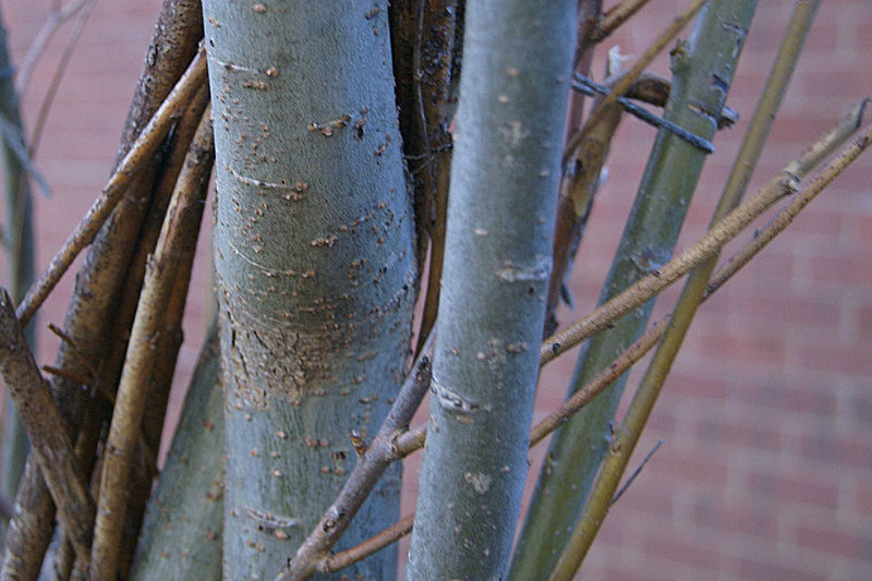  - Textures and Surfaces