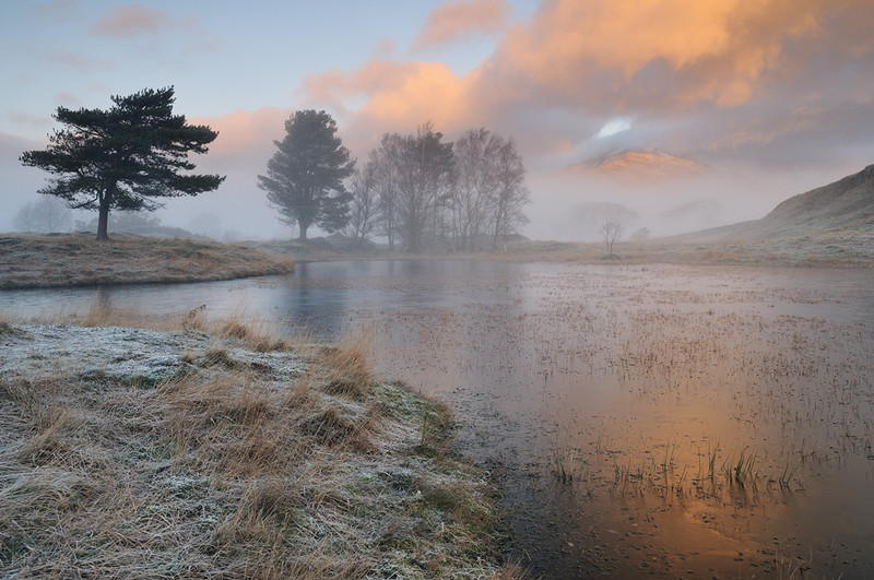 Kelly Hall Tarn VI - Lakes, Tarns and Waters