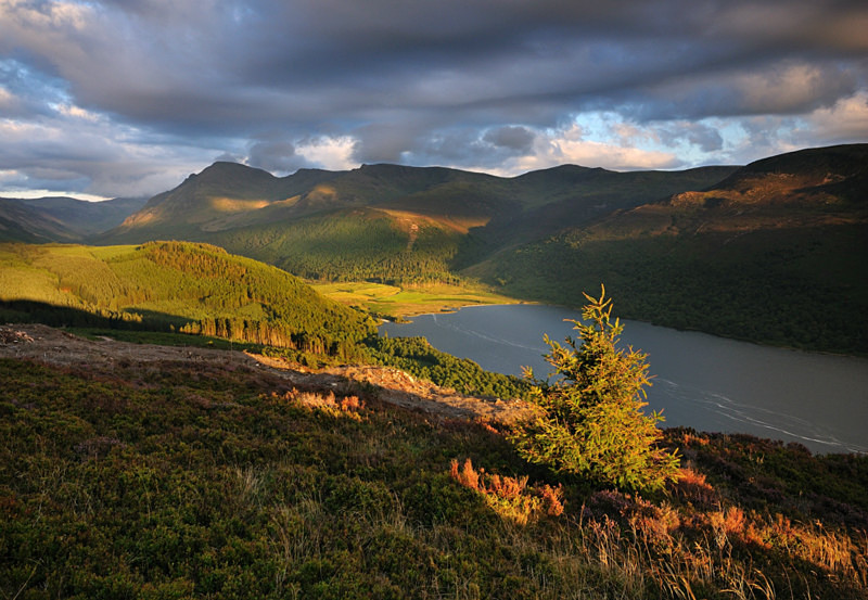 Ennerdale Forest - Rivers and Valleys