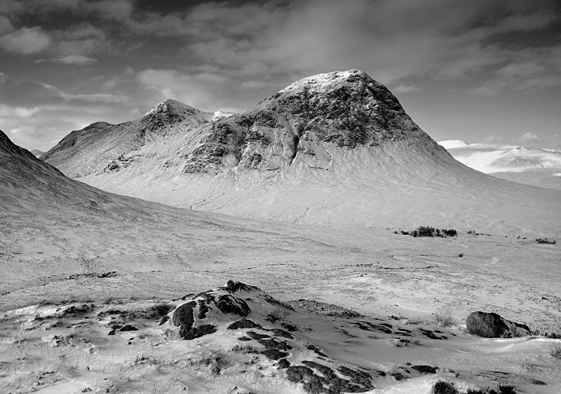 White Guardian - Rannoch Moor