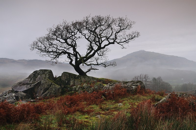 Harter Fell - Mountains and Fells