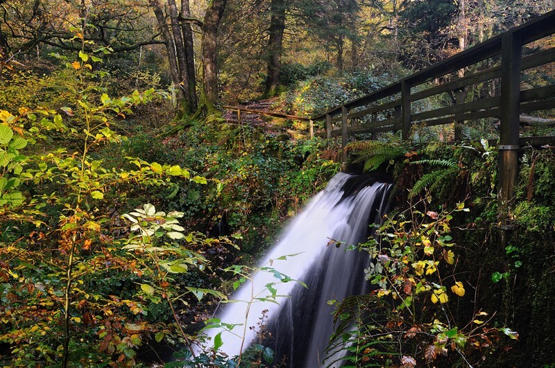 Autumn Flush - Lakes, Tarns and Waters